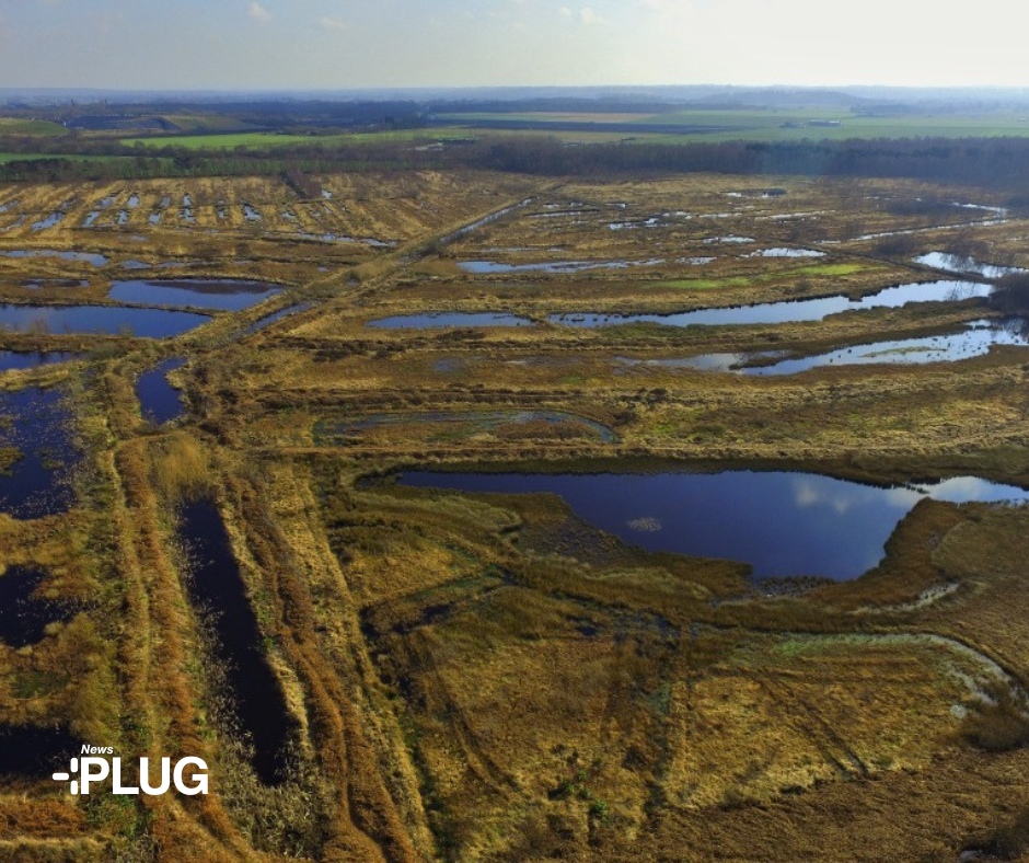 east anglian peatlands